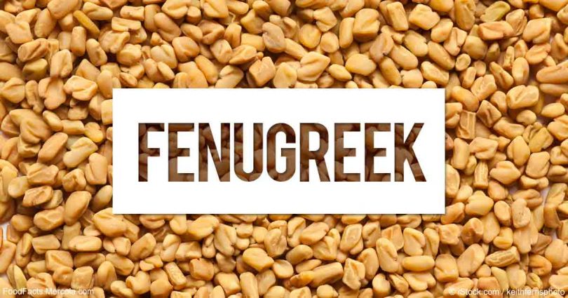 Benefits and Uses of Fenugreek/Methi Seeds for Hair, Skin and Health -  Wedandbeyond