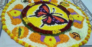 34. Butterfly pookolam