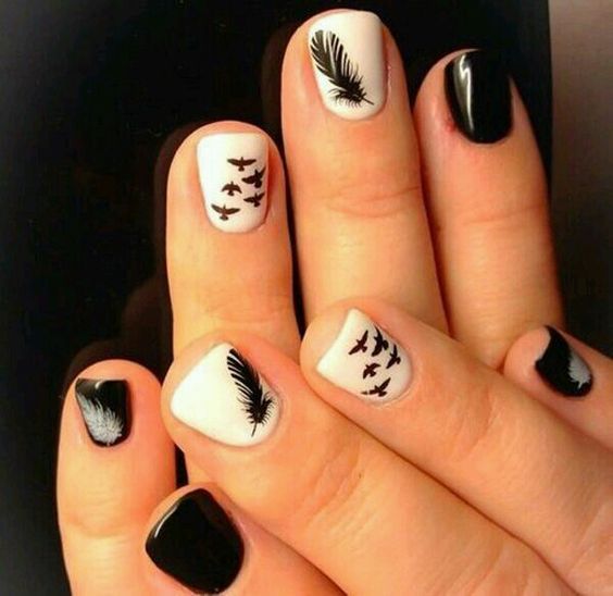 38.Feather and birds black and white nail art