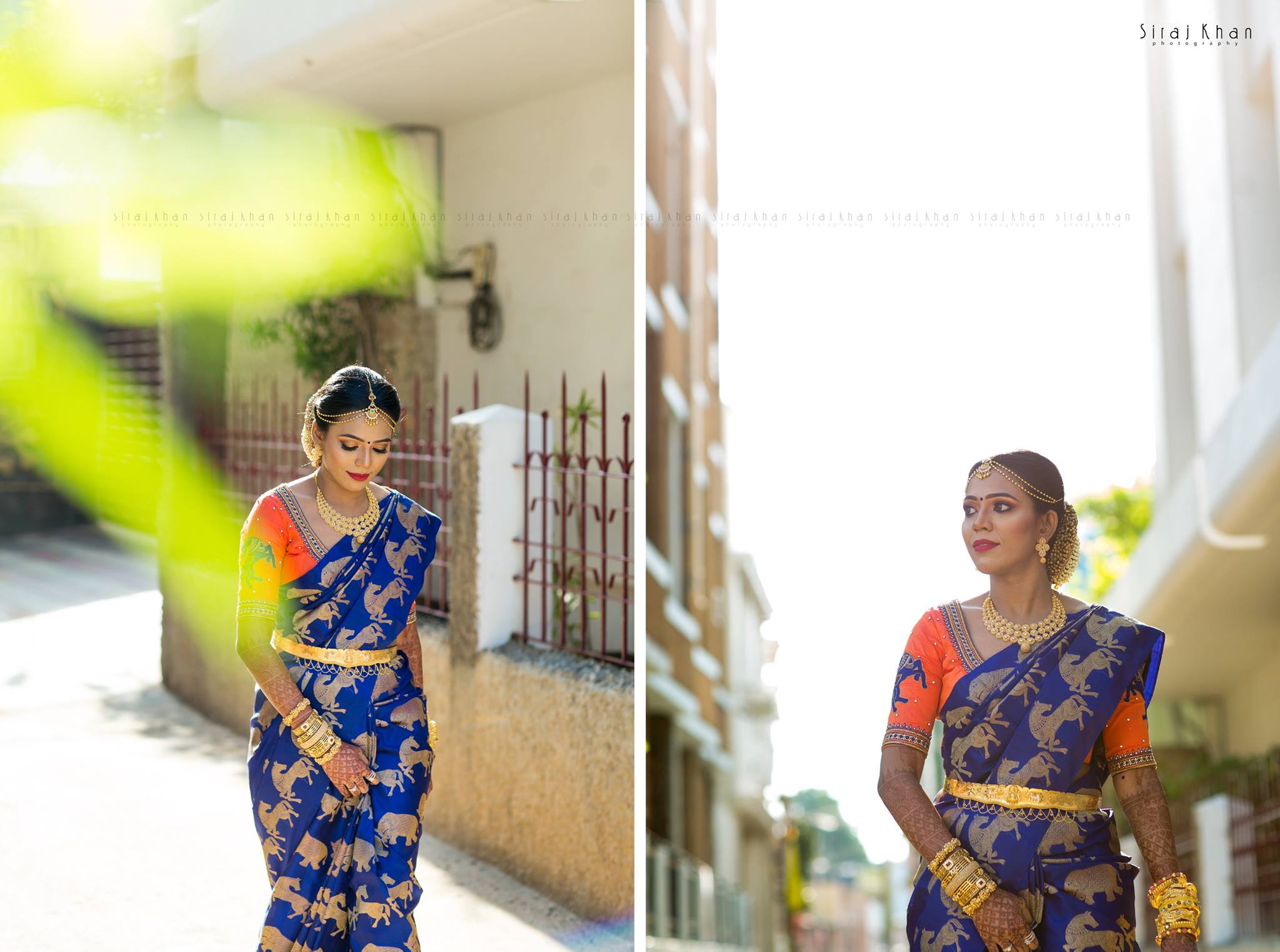 Royal Blue Animal themed silk saree