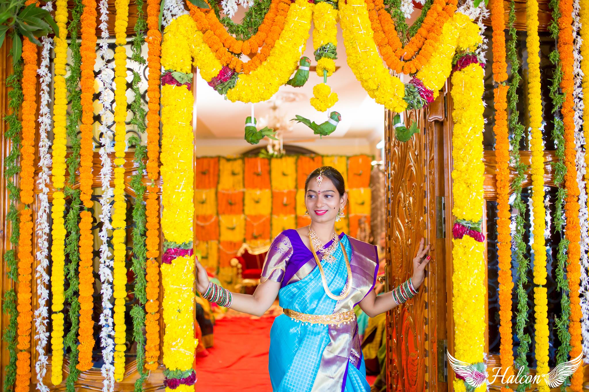 Blue checks with Royal Blue Border silk saree