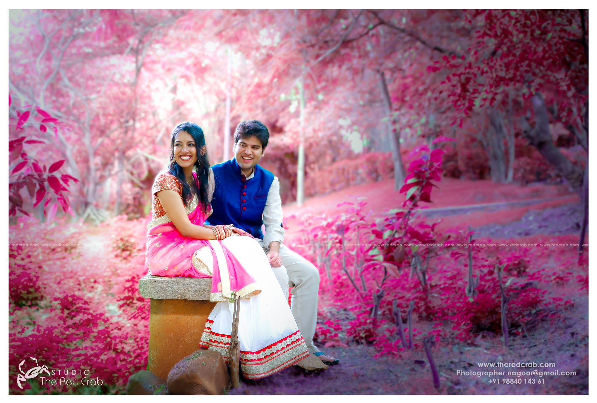 Pink background couple portrait