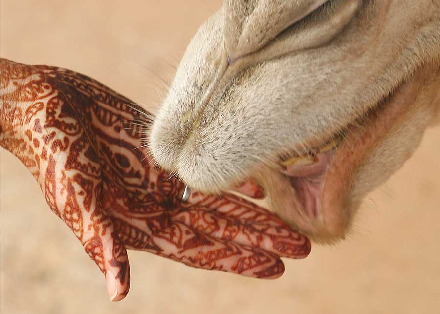  Sarvam Weddings-img16